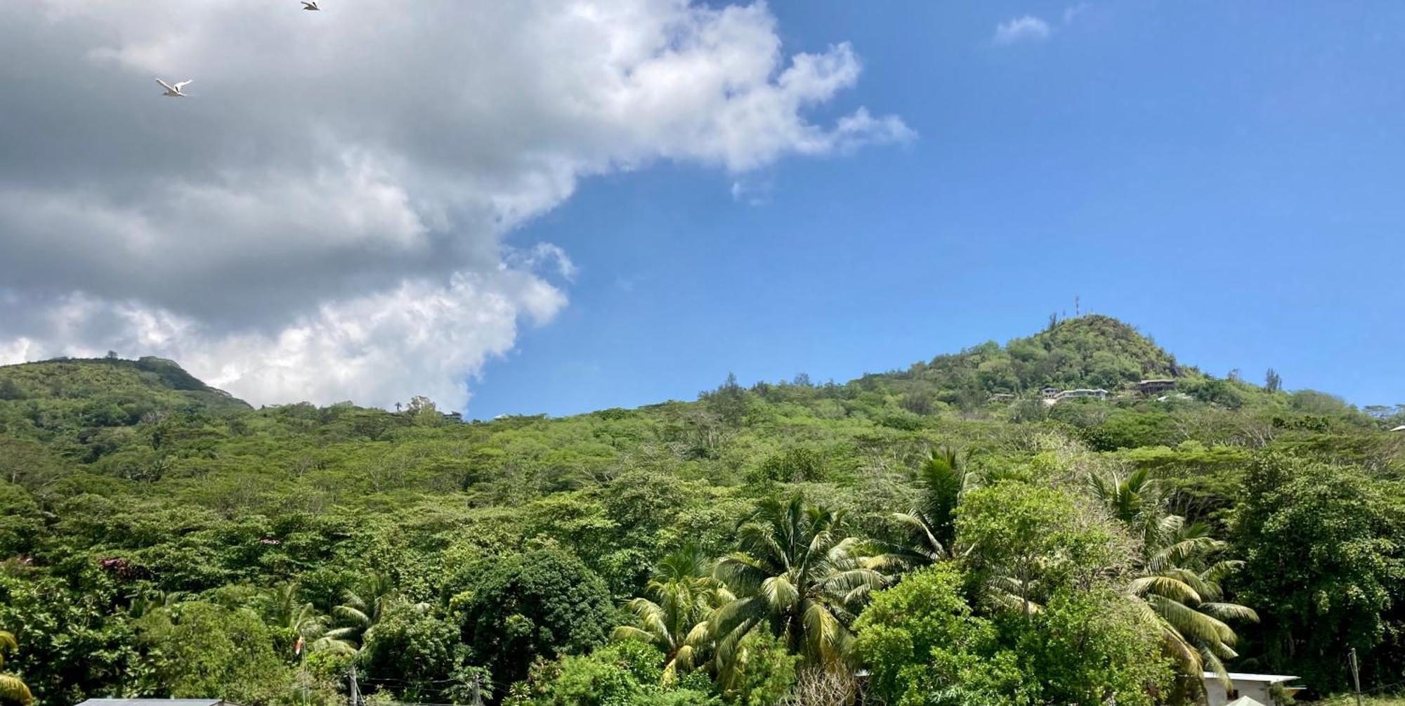 La Villa Therese Anse Royale Buitenkant foto